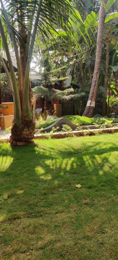 Tattvam On The Beach - Retreat And Spa Arambol Luaran gambar
