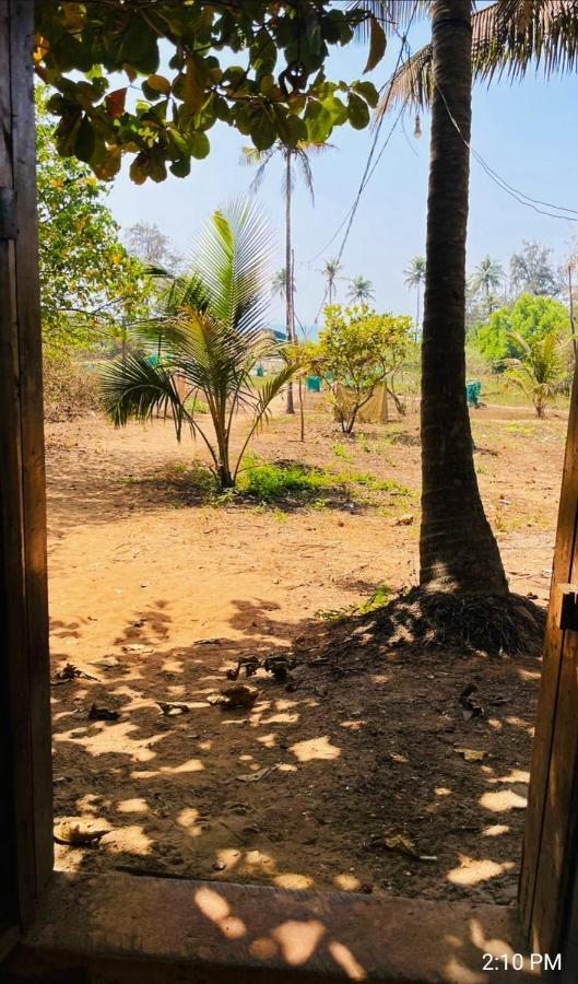 Tattvam On The Beach - Retreat And Spa Arambol Luaran gambar