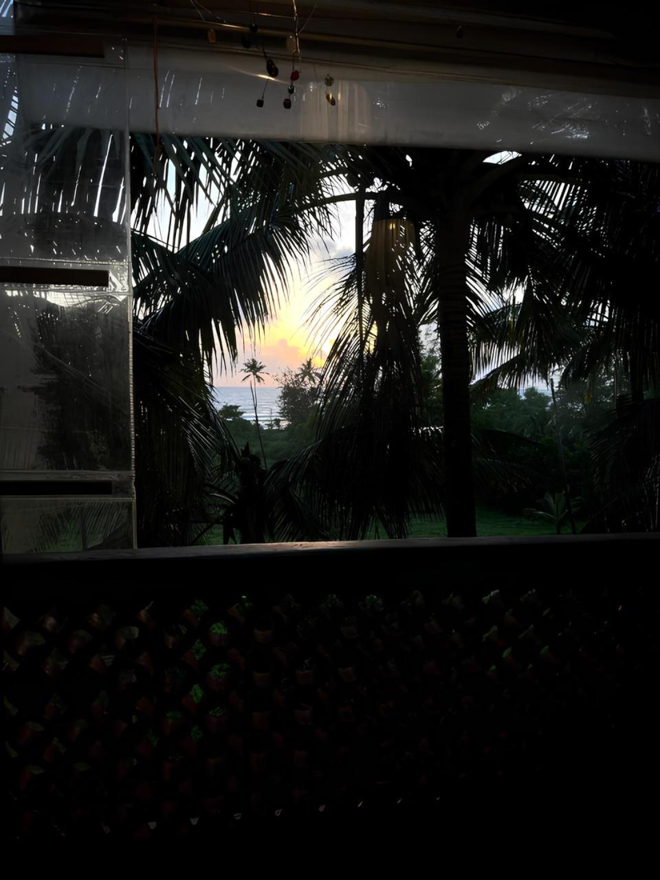 Tattvam On The Beach - Retreat And Spa Arambol Luaran gambar